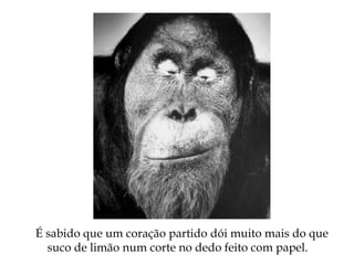 É sabido que um coração partido dói muito mais do que
suco de limão num corte no dedo feito com papel.
 