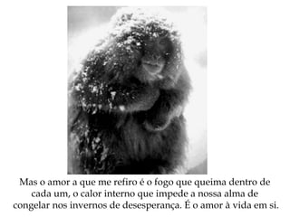 Mas o amor a que me refiro é o fogo que queima dentro de
cada um, o calor interno que impede a nossa alma de
congelar nos invernos de desesperança. É o amor à vida em si.
 