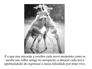 É o que nos encoraja a receber cada novo momento como se
recebe um velho amigo no aeroporto, a abraçar cada nova
oportunidade de expressar a nossa felicidade por estar vivo.
 