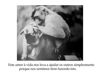 Este amor à vida nos leva a ajudar os outros simplesmente
porque nos sentimos bem fazendo isto.
 