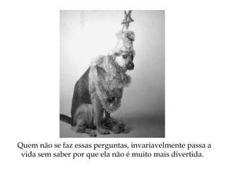 Quem não se faz essas perguntas, invariavelmente passa a
vida sem saber por que ela não é muito mais divertida.
 
