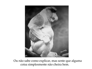 Ou não sabe como explicar, mas sente que alguma
coisa simplesmente não cheira bem.
 