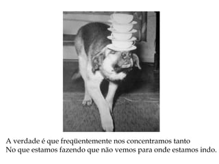 A verdade é que freqüentemente nos concentramos tanto
No que estamos fazendo que não vemos para onde estamos indo.
 