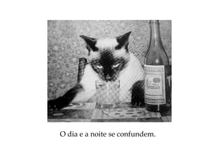 O dia e a noite se confundem.
 