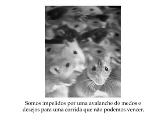 Somos impelidos por uma avalanche de medos e
desejos para uma corrida que não podemos vencer.
 
