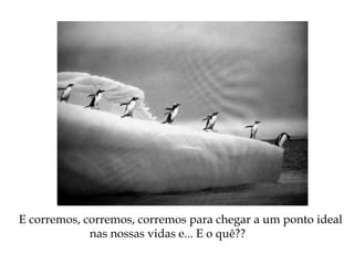 E corremos, corremos, corremos para chegar a um ponto ideal
nas nossas vidas e... E o quê??
 