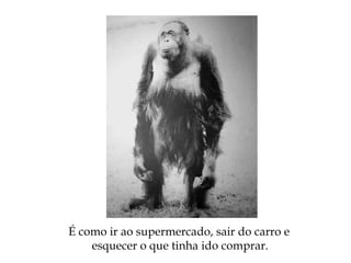 É como ir ao supermercado, sair do carro e
esquecer o que tinha ido comprar.
 