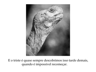 E o triste é quase sempre descobrimos isso tarde demais,
quando é impossível recomeçar.
 