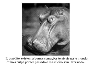 E, acredite, existem algumas sensações terríveis neste mundo.
Como a culpa por ter passado o dia inteiro sem fazer nada,
 