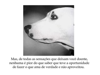 Mas, de todas as sensações que deixam você doente,
nenhuma é pior do que saber que teve a oportunidade
de fazer o que ama de verdade e não aproveitou.
 
