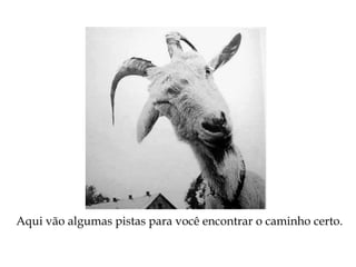 Aqui vão algumas pistas para você encontrar o caminho certo.
 