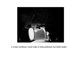 e com certeza você não o encontrará na televisão.
 