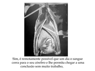Sim, é remotamente possível que um dia o sangue
corra para o seu cérebro e lhe permita chegar a uma
conclusão sem muito trabalho,
 