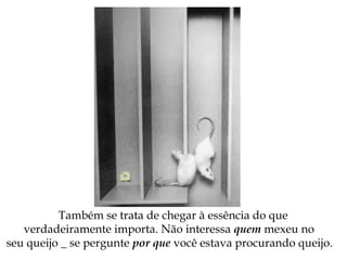 Também se trata de chegar à essência do que
verdadeiramente importa. Não interessa quem mexeu no
seu queijo _ se pergunte por que você estava procurando queijo.
 