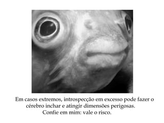 Em casos extremos, introspecção em excesso pode fazer o
cérebro inchar e atingir dimensões perigosas.
Confie em mim: vale o risco.
 