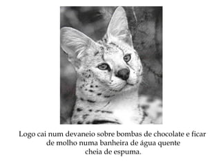 Logo cai num devaneio sobre bombas de chocolate e ficar
de molho numa banheira de água quente
cheia de espuma.
 