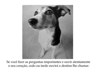 Se você fizer as perguntas importantes e ouvir atentamente
o seu coração, cedo ou tarde ouvirá o destino lhe chamar.
 