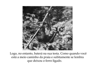 Logo, no entanto, baterá na sua testa. Como quando você
está a meio caminho da praia e subitamente se lembra
que deixou o ferro ligado.
 