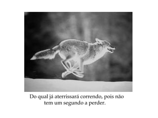 Do qual já aterrissará correndo, pois não
tem um segundo a perder.
 