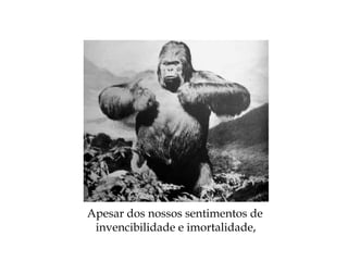 Apesar dos nossos sentimentos de
invencibilidade e imortalidade,
 