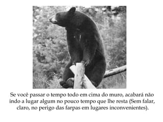 Se você passar o tempo todo em cima do muro, acabará não
indo a lugar algum no pouco tempo que lhe resta (Sem falar,
claro, no perigo das farpas em lugares inconvenientes).
 