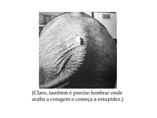 (Claro, também é preciso lembrar onde
acaba a coragem e começa a estupidez.)
 