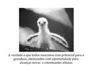 A verdade é que todos nascemos com potencial para a
grandeza, abençoados com oportunidade para
alcançar novas e estonteantes alturas.
 