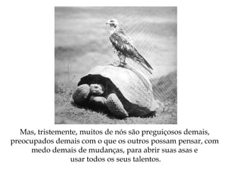 Mas, tristemente, muitos de nós são preguiçosos demais,
preocupados demais com o que os outros possam pensar, com
medo demais de mudanças, para abrir suas asas e
usar todos os seus talentos.
 