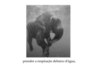 prender a respiração debaixo d'água,
 