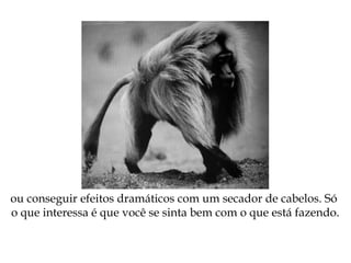 ou conseguir efeitos dramáticos com um secador de cabelos. Só
o que interessa é que você se sinta bem com o que está fazendo.
 