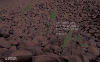 235
"Ser extrativista é
enfrentar desafios do
tamanho da floresta"
Rio Branco - AC
 