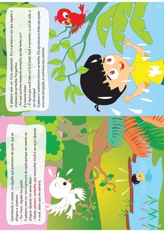 Livro Pássaro Sem Cor