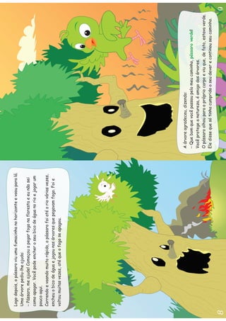 Livro Pássaro Sem Cor