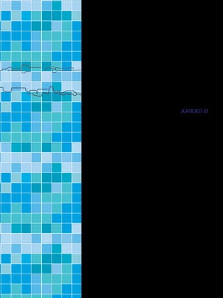 ANEXO II
 