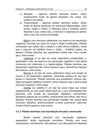 Capítulo 4 – Infestação e sobrevivência no solo 23
c) Brotação – algumas plantas daninhas podem, ainda,
simplesmente brotar de gemas presentes nas raízes, nos
caules e nas folhas;
d) Fragmentação – algumas plantas daninhas podem, ainda,
brotar de gemas presentes em estruturas fragmentadas, como
raízes, caules e folhas. A diferença para a brotação (acima
descrita) é que, neste caso, a estrutura é separada da planta-
mãe, o que não ocorre na brotação.
Bulbo é uma estrutura subterrânea, de reserva e de reprodução
vegetativa, formada por parte do caule e folhas modificadas. Plantas
conhecidas com bulbos são a cebola e o alho (forma bulbilhos, sendo
que o conjunto de bulbilhos forma o bulbo – bulbilhos podem ser
aéreos). Plantas daninhas que apresentam bulbos são: trevo (Oxalis
spp.), entre outras.
Tubérculo é um tipo de caule subterrâneo arredondado e,
geralmente, curto, de reserva e de reprodução vegetativa. Uma planta
conhecida com tubérculos é a batata-inglesa. Plantas daninhas que
apresentam tubérculos são: tiririca (Cyperus spp.), falsa-tiririca (Hypoxis
decumbens), entre outras.
Rizoma é um tipo de caule subterrâneo longo com função de
reserva e de reprodução vegetativa. Apresenta aspecto de raiz bem
grossa e rudimentar. Plantas daninhas que apresentam rizomas são:
capim-amargoso (Digitaria insularis), tiririca (Cyperus spp.), grama-seda
(Cynodon dactylon), entre outras.
Estolão (ou estolho) é um tipo de caule longo que cresce
paralelamente ao solo (pode desenvolver-se a uma profundidade bem
pequena), com função de reprodução vegetativa, basicamente.
Apresenta aspecto de um perfilho, praticamente sem folhas, bem fino e
delicado. Plantas daninhas que apresentam estolões são: grama-seda
(Cynodon dactylon), grama-boiadeira (Luziola peruviana), capim-de-
rhodes (Chloris gayana), entre outras.
4.1.3. Plantas daninhas com reprodução sexuada e assexuada
Muitas plantas daninhas com reprodução vegetativa
apresentam, ainda, reprodução seminífera. Plantas com essa
característica, normalmente, são perenes, com alto potencial infestante
 