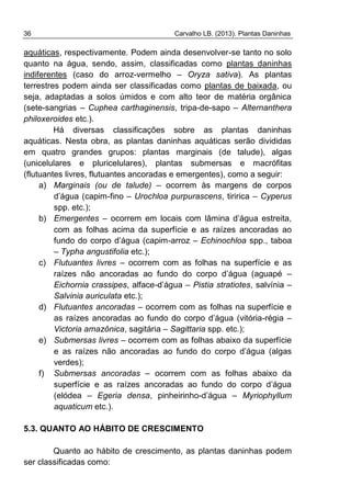 36 Carvalho LB. (2013). Plantas Daninhas
aquáticas, respectivamente. Podem ainda desenvolver-se tanto no solo
quanto na água, sendo, assim, classificadas como plantas daninhas
indiferentes (caso do arroz-vermelho – Oryza sativa). As plantas
terrestres podem ainda ser classificadas como plantas de baixada, ou
seja, adaptadas a solos úmidos e com alto teor de matéria orgânica
(sete-sangrias – Cuphea carthaginensis, tripa-de-sapo – Alternanthera
philoxeroides etc.).
Há diversas classificações sobre as plantas daninhas
aquáticas. Nesta obra, as plantas daninhas aquáticas serão divididas
em quatro grandes grupos: plantas marginais (de talude), algas
(unicelulares e pluricelulares), plantas submersas e macrófitas
(flutuantes livres, flutuantes ancoradas e emergentes), como a seguir:
a) Marginais (ou de talude) – ocorrem às margens de corpos
d’água (capim-fino – Urochloa purpurascens, tiririca – Cyperus
spp. etc.);
b) Emergentes – ocorrem em locais com lâmina d’água estreita,
com as folhas acima da superfície e as raízes ancoradas ao
fundo do corpo d’água (capim-arroz – Echinochloa spp., taboa
– Typha angustifolia etc.);
c) Flutuantes livres – ocorrem com as folhas na superfície e as
raízes não ancoradas ao fundo do corpo d’água (aguapé –
Eichornia crassipes, alface-d’água – Pistia stratiotes, salvínia –
Salvinia auriculata etc.);
d) Flutuantes ancoradas – ocorrem com as folhas na superfície e
as raízes ancoradas ao fundo do corpo d’água (vitória-régia –
Victoria amazônica, sagitária – Sagittaria spp. etc.);
e) Submersas livres – ocorrem com as folhas abaixo da superfície
e as raízes não ancoradas ao fundo do corpo d’água (algas
verdes);
f) Submersas ancoradas – ocorrem com as folhas abaixo da
superfície e as raízes ancoradas ao fundo do corpo d’água
(elódea – Egeria densa, pinheirinho-d’água – Myriophyllum
aquaticum etc.).
5.3. QUANTO AO HÁBITO DE CRESCIMENTO
Quanto ao hábito de crescimento, as plantas daninhas podem
ser classificadas como:
 