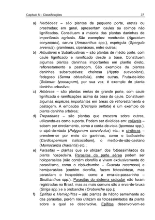 Capítulo 5 – Classificações 37
a) Herbáceas – são plantas de pequeno porte, eretas ou
prostradas; em geral, apresentam caules ou colmos não
lignificados. Constituem a maioria das plantas daninhas de
importância agrícola. São exemplos: mentrasto (Ageratum
conyzoides), caruru (Amaranthus spp.), espérgula (Spergula
arvensis), gramíneas, ciperáceas, entre outras;
b) Arbustivas e Subarbustivas – são plantas de médio porte, com
caule lignificado e ramificado desde a base. Constituem
algumas plantas daninhas importantes em plantio direto,
reflorestamento e pastagem. São exemplos de plantas
daninhas subarbustivas: cheirosa (Hyptis suaveolens),
fedegoso (Senna obtusifolia), entre outras. Fruta-de-lobo
(Solanum lycocarpum), por sua vez, é exemplo de planta
daninha arbustiva;
c) Arbóreas – são plantas eretas de grande porte, com caule
lignificado e ramificações acima da base do caule. Constituem
algumas espécies importantes em áreas de reflorestamento e
pastagem. A embaúba (Cecropia peltata) é um exemplo de
planta daninha arbórea;
d) Trepadeiras – são plantas que crescem sobre outras,
utilizando-as como suporte. Podem ser divididas em: volúveis –
sobem por enrolamento, como a corda-de-viola (Ipomoea spp.),
o cipó-de-viado (Polygonum convolvulus) etc.; e cirríferas –
prendem-se por meio de gavinhas, como o balãozinho
(Cardiospermum halicacabum), o melão-de-são-caetano
(Momocardia charantia) etc.;
e) Parasitas – plantas que se utilizam dos fotoassimilados da
planta hospedeira. Parasitas da parte aérea podem ser
holoparasitas (não contém clorofila e vivem exclusivamente do
parasitismo, como o cipó-chumbo – Cuscuta racemosa) e
hemiparasitas (contém clorofila, fazem fotossíntese, mas
parasitam o hospedeiro, como a erva-de-passarinho –
Struthanthus spp.). Parasitas do sistema radicular não foram
registradas no Brasil, mas as mais comuns são a erva-de-bruxa
(Striga spp.) e a orobanche (Orobanche spp.);
f) Epífitas e Hemiepífitas – são plantas de hábito semelhante ao
das parasitas, porém não utilizam os fotoassimilados da planta
sobre a qual se desenvolve. Epífitas desenvolvem-se
 