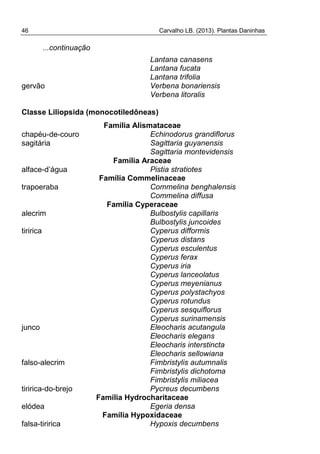 46 Carvalho LB. (2013). Plantas Daninhas
...continuação
Lantana canasens
Lantana fucata
Lantana trifolia
gervão Verbena bonariensis
Verbena litoralis
Classe Liliopsida (monocotiledôneas)
Família Alismataceae
chapéu-de-couro Echinodorus grandiflorus
sagitária Sagittaria guyanensis
Sagittaria montevidensis
Família Araceae
alface-d’água Pistia stratiotes
Família Commelinaceae
trapoeraba Commelina benghalensis
Commelina diffusa
Família Cyperaceae
alecrim Bulbostylis capillaris
Bulbostylis juncoides
tiririca Cyperus difformis
Cyperus distans
Cyperus esculentus
Cyperus ferax
Cyperus iria
Cyperus lanceolatus
Cyperus meyenianus
Cyperus polystachyos
Cyperus rotundus
Cyperus sesquiflorus
Cyperus surinamensis
junco Eleocharis acutangula
Eleocharis elegans
Eleocharis interstincta
Eleocharis sellowiana
falso-alecrim Fimbristylis autumnalis
Fimbristylis dichotoma
Fimbristylis miliacea
tiririca-do-brejo Pycreus decumbens
Família Hydrocharitaceae
elódea Egeria densa
Família Hypoxidaceae
falsa-tiririca Hypoxis decumbens
 