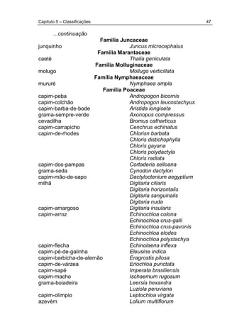 Capítulo 5 – Classificações 47
...continuação
Família Juncaceae
junquinho Juncus microcephalus
Família Marantaceae
caeté Thalia geniculata
Família Molluginaceae
molugo Mollugo verticillata
Família Nymphaeaceae
mururé Nymphaea ampla
Família Poaceae
capim-peba Andropogon bicornis
capim-colchão Andropogon leucostachyus
capim-barba-de-bode Aristida longiseta
grama-sempre-verde Axonopus compressus
cevadilha Bromus catharticus
capim-carrapicho Cenchrus echinatus
capim-de-rhodes Chlorisn barbata
Chloris distichophylla
Chloris gayana
Chloris polydactyla
Chloris radiata
capim-dos-pampas Cortaderia selloana
grama-seda Cynodon dactylon
capim-mão-de-sapo Dactyloctenium aegyptium
milhã Digitaria ciliaris
Digitaria horizontalis
Digitaria sanguinalis
Digitaria nuda
capim-amargoso Digitaria insularis
capim-arroz Echinochloa colona
Echinochloa crus-galli
Echinochloa crus-pavonis
Echinochloa elodes
Echinochloa polystachya
capim-flecha Echinolaena inflexa
capim-pé-de-galinha Eleusine indica
capim-barbicha-de-alemão Eragrostis pilosa
capim-de-várzea Eriochloa punctata
capim-sapé Imperata brasiliensis
capim-macho Ischaemum rugosum
grama-boiadeira Leersia hexandra
Luziola peruviana
capim-olímpio Leptochloa virgata
azevém Lolium multiflorum
 