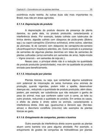 Capítulo 6 – Convivência com as plantas daninhas 55
ocorrência muito restrita. As outras duas são mais importantes no
Brasil, mas não em áreas agrícolas.
6.1.1.4. Depreciação do produto
A depreciação do produto decorre da presença da planta
daninha, ou parte dela, no produto produzido, caracterizando a
interferência direta. Por exemplo, batata colhida com tubérculos de
tiririca dentro; algodão colhido com diásporos de picão-preto (Bidens
spp.) ou capim-carrapicho (Cenchrus echinatus), entre outros, aderidos
às plúmulas; lã de carneiro com diásporos de carrapicho-de-carneiro
(Acanthospermum hispidum) aderidos, etc. Outro exemplo é a presença
de sementes de algumas plantas daninhas em lotes de sementes de
plantas cultivadas (arroz-vermelho em sementes de arroz, feijão-miúdo
– Vignia sinensis – em sementes de soja etc.).
Nesse caso, o principal efeito não é a redução na quantidade
de produto produzido (produtividade), mas sim na qualidade do produto
enviado para beneficiamento.
6.1.1.5. Intoxicação por plantas
Plantas tóxicas, ou seja, que contenham alguma substância
com potencial de intoxicação de seres humanos e/ou animais de
produção, quando ingeridas, podem inibir o apetite, desenvolver
doenças etc., reduzindo a quantidade de produto produzido; além disso,
podem, por exemplo, ser substâncias que não reduzam o ganho de
peso do animal, mas que conferem sabor ruim à carne, ao leite ou
outro produto, reduzindo a qualidade do produto. Em ambos os casos,
o efeito da planta é direto sobre os animais, caracterizando a
interferência direta. Sida spp. (guanxuma) e Senecio spp. (flor-das-
almas) e Baccharis coridifolia (mio-mio) são exemplos de plantas
tóxicas ao gado.
6.1.1.6. Entupimento de comportas, pontes e bueiros
Outro exemplo de interferência direta ocorre quando as plantas
atuam como barreira viva para alguma atividade. Por exemplo, o
entupimento de grades de comportas de hidroelétricas por plantas
 