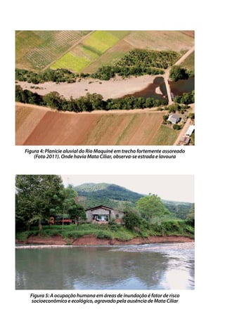 Figura 4: Planície aluvial do Rio Maquiné em trecho fortemente assoreado
(Foto 2011). Onde havia Mata Ciliar, observa-se estrada e lavoura
Figura 5: A ocupação humana em áreas de inundação é fator de risco
socioeconômico e ecológico, agravado pela ausência de Mata Ciliar
 