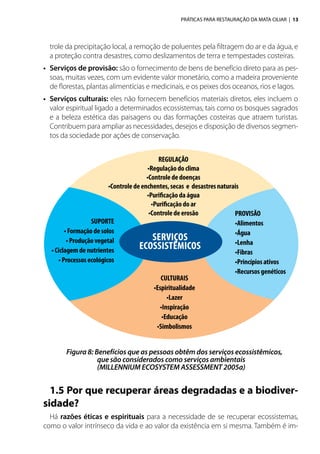 PRÁTICAS PARA RESTAURAÇÃO DA MATA CILIAR | 13
trole da precipitação local, a remoção de poluentes pela filtragem do ar e da água, e
a proteção contra desastres, como deslizamentos de terra e tempestades costeiras.
•	 Serviços de provisão: são o fornecimento de bens de benefício direto para as pes-
soas, muitas vezes, com um evidente valor monetário, como a madeira proveniente
de florestas, plantas alimentícias e medicinais, e os peixes dos oceanos, rios e lagos.
•	 Serviços culturais: eles não fornecem benefícios materiais diretos, eles incluem o
valor espiritual ligado a determinados ecossistemas, tais como os bosques sagrados
e a beleza estética das paisagens ou das formações costeiras que atraem turistas.
Contribuem para ampliar as necessidades, desejos e disposição de diversos segmen-
tos da sociedade por ações de conservação.
1.5 Por que recuperar áreas degradadas e a biodiver-
sidade?
Há razões éticas e espirituais para a necessidade de se recuperar ecossistemas,
como o valor intrínseco da vida e ao valor da existência em si mesma. Também é im-
SUPORTE
•Formaçãodesolos
•Produçãovegetal
•Ciclagemdenutrientes
•Processosecológicos
REGULAÇÃO
•Regulaçãodoclima
•Controlededoenças
•Controledeenchentes,secas e desastresnaturais
•Purificaçãodaágua
•Purificaçãodoar
•Controledeerosão PROVISÃO
•Alimentos
•Água
•Lenha
•Fibras
•Princípiosativos
•Recursosgenéticos
CULTURAIS
•Espiritualidade
•Lazer
•Inspiração
•Educação
•Simbolismos
Serviços
ecossistÊmicos
Figura 8: Benefícios que as pessoas obtêm dos serviços ecossistêmicos,
que são considerados como serviços ambientais
(MILLENNIUM ECOSYSTEM ASSESSMENT 2005a)
 