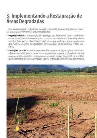 3. Implementando a Restauração de
Áreas Degradadas
Para a execução com êxito de um plano de restauração de áreas degradadas é neces-
sário analisar previamente os seguintes aspectos:
•	 vegetação local: a composição da vegetação dos fragmentos florestais remanes-
centes na região é o referencial para conduzir a restauração das áreas degradadas
(escolha das espécies e hábitats associados), considerando que a vegetação nativa
desenvolveu uma série de adaptações bem sucedidas ao longo de sua história evo-
lutiva;
•	 condições do solo: ao avaliar o tipo de solo e seu grau de degradação, é fundamen-
tal observar a abrangência da cobertura vegetal, quantidade e qualidade da matéria
orgânica, áreas com solo exposto ou com processo erosivo (Figura 17). Uma análise
química do solo fornece informações sobre a fertilidade e deficiências, porém eleva
 