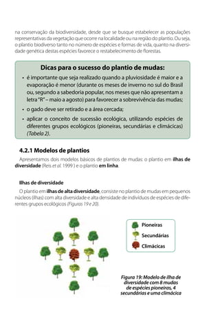 na conservação da biodiversidade, desde que se busque estabelecer as populações
representativas da vegetação que ocorre na localidade ou na região do plantio. Ou seja,
o plantio biodiverso tanto no número de espécies e formas de vida, quanto na diversi-
dade genética destas espécies favorece o restabelecimento de florestas.
Dicas para o sucesso do plantio de mudas:
•	 é importante que seja realizado quando a pluviosidade é maior e a
evaporação é menor (durante os meses de inverno no sul do Brasil
ou, segundo a sabedoria popular, nos meses que não apresentam a
letra“R”– maio a agosto) para favorecer a sobrevivência das mudas;
•	 o gado deve ser retirado e a área cercada;
•	 aplicar o conceito de sucessão ecológica, utilizando espécies de
diferentes grupos ecológicos (pioneiras, secundárias e climácicas)
(Tabela 2).
4.2.1 Modelos de plantios
Apresentamos dois modelos básicos de plantios de mudas: o plantio em ilhas de
diversidade (Reis et al. 1999 ) e o plantio em linha.
Ilhas de diversidade
O plantio em ilhas de alta diversidade, consiste no plantio de mudas em pequenos
núcleos (ilhas) com alta diversidade e alta densidade de indivíduos de espécies de dife-
rentes grupos ecológicos (Figuras 19 e 20).
Pioneiras
Secundárias
Climácicas
Figura 19: Modelo de ilha de
diversidade com 8 mudas
de espécies pioneiras, 4
secundárias e uma climácica
 