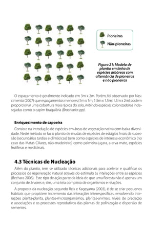 O espaçamento é geralmente indicado em 3m x 2m. Porém, foi observado por Nas-
cimento (2007) que espaçamentos menores (1m x 1m; 1,5m x 1,5m; 1,5m x 2m) podem
proporcionar uma cobertura mais rápida do solo, inibindo espécies colonizadoras inde-
sejadas como o capim braquiária (Brachiaria spp).
Enriquecimento de capoeira
Consiste na introdução de espécies em áreas de vegetação nativa com baixa diversi-
dade. Neste método se faz o plantio de mudas de espécies de estágios finais da suces-
são (secundárias tardias e climácicas) bem como espécies de interesse econômico (no
caso das Matas Ciliares, não-madeireiro) como palmeira-juçara, a erva mate, espécies
frutíferas e medicinais.
4.3Técnicas de Nucleação
Além do plantio, tem se utilizado técnicas adicionais para acelerar e qualificar os
processos de regeneração natural através do estímulo às interações entre as espécies
(Bechara 2006). Este tipo de ação parte da ideia de que uma floresta não é apenas um
conjunto de árvores e, sim, uma teia complexa de organismos e relações.
A proposta da nucleação, segundo Reis e Kageyama (2003), é de se criar pequenos
hábitats que propiciem incremento das interações interespecíficas, envolvendo inte-
rações planta-planta, plantas-microorganismos, plantas-animais, níveis de predação
e associações e os processos reprodutivos das plantas de polinização e dispersão de
sementes.
Pioneiras
Não-pioneiras
Figura 21: Modelo de
plantio em linha de
espécies arbóreas com
alternância de pioneiras
e não pioneiras
 