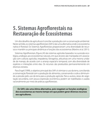 PRÁTICAS PARA RESTAURAÇÃO DA MATA CILIAR | 37
5. Sistemas Agroflorestais na
Restauração de Ecossistemas
Um dos desafios da agricultura é conciliar a produção com a conservação ambiental.
Neste sentido, os sistemas agroflorestais (SAFs) são uma alternativa onde o ecossistema
nativo é florestal. Os Sistemas Agroflorestais proporcionam uma diversidade de recur-
sos e mantêm as principais dinâmicas e funções dos ecossistemas (Martins et al. 2011).
Sistemas Agroflorestais (Figura 24) são sistemas agrícolas baseados na sucessão eco-
lógica, análogos aos ecossistemas naturais, em que árvores são manejadas em associa-
ção com culturas agrícolas, trepadeiras, forrageiras, arbustivas em uma mesma unida-
de de manejo, de acordo com o arranjo espacial e temporal, com alta diversidade de
espécies e interações entre elas. Os recursos são produzidos permanentemente em
diversos estratos.
Para Engel (1999), o objetivo principal dos SAFs é otimizar o uso da terra, conciliando
a conservação florestal com a produção de alimentos, conservando o solo e diminuin-
do a pressão pelo uso da terra para a produção agrícola. Para a autora, áreas de vege-
tação secundária, com pouca expressão econômica, podem ser reabilitadas e usadas
racionalmente por meio de práticas agroflorestais.
Os SAFs são uma ótima alternativa, pois resgatam as funções ecológicas
dos ecossistemas ao mesmo tempo em que podem gerar diversos recursos
aos agricultores.
 
