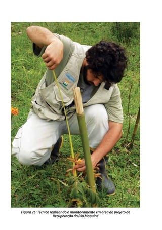 Figura 25: Técnico realizando o monitoramento em área do projeto de
Recuperação do Rio Maquiné
 