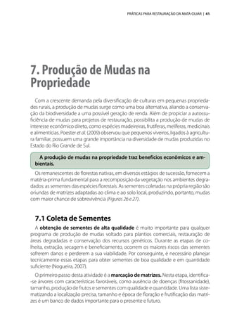 PRÁTICAS PARA RESTAURAÇÃO DA MATA CILIAR | 41
7. Produção de Mudas na
Propriedade
Com a crescente demanda pela diversificação de culturas em pequenas proprieda-
des rurais, a produção de mudas surge como uma boa alternativa, aliando a conserva-
ção da biodiversidade a uma possível geração de renda. Além de propiciar a autossu-
ficiência de mudas para projetos de restauração, possibilita a produção de mudas de
interesse econômico direto, como espécies madeireiras, frutíferas, melíferas, medicinais
e alimentícias. Poester etal. (2009) observou que pequenos viveiros, ligados à agricultu-
ra familiar, possuem uma grande importância na diversidade de mudas produzidas no
Estado do Rio Grande de Sul.
A produção de mudas na propriedade traz benefícios econômicos e am-
bientais.
Os remanescentes de florestas nativas, em diversos estágios de sucessão, fornecem a
matéria-prima fundamental para a recomposição da vegetação nos ambientes degra-
dados: as sementes das espécies florestais. As sementes coletadas na própria região são
oriundas de matrizes adaptadas ao clima e ao solo local, produzindo, portanto, mudas
com maior chance de sobrevivência (Figuras 26 e 27).
7.1 Coleta de Sementes
A obtenção de sementes de alta qualidade é muito importante para qualquer
programa de produção de mudas voltado para plantios comerciais, restauração de
áreas degradadas e conservação dos recursos genéticos. Durante as etapas de co-
lheita, extração, secagem e beneficiamento, ocorrem os maiores riscos das sementes
sofrerem danos e perderem a sua viabilidade. Por conseguinte, é necessário planejar
tecnicamente essas etapas para obter sementes de boa qualidade e em quantidade
suficiente (Nogueira, 2007).
O primeiro passo desta atividade é a marcação de matrizes. Nesta etapa, identifica-
-se árvores com características favoráveis, como ausência de doenças (fitossanidade),
tamanho, produção de frutos e sementes com qualidade e quantidade. Uma lista siste-
matizando a localização precisa, tamanho e época de floração e frutificação das matri-
zes é um banco de dados importante para o presente e futuro.
 