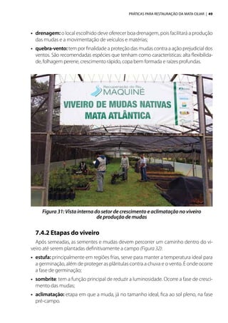 PRÁTICAS PARA RESTAURAÇÃO DA MATA CILIAR | 49
•	 drenagem: o local escolhido deve oferecer boa drenagem, pois facilitará a produção
das mudas e a movimentação de veículos e matérias;
•	 quebra-vento: tem por finalidade a proteção das mudas contra a ação prejudicial dos
ventos. São recomendadas espécies que tenham como características: alta flexibilida-
de, folhagem perene, crescimento rápido, copa bem formada e raízes profundas.
7.4.2 Etapas do viveiro
Após semeadas, as sementes e mudas devem percorrer um caminho dentro do vi-
veiro até serem plantadas definitivamente a campo (Figura 32):
•	 estufa: principalmente em regiões frias, serve para manter a temperatura ideal para
a germinação, além de proteger as plântulas contra a chuva e o vento. É onde ocorre
a fase de germinação;
•	 sombrite: tem a função principal de reduzir a luminosidade. Ocorre a fase de cresci-
mento das mudas;
•	 aclimatação: etapa em que a muda, já no tamanho ideal, fica ao sol pleno, na fase
pré-campo.
Figura 31: Vista interna do setor de crescimento e aclimatação no viveiro
de produção de mudas
 