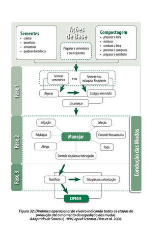 Fase2
Figura 32: Dinâmica operacional do viveiro indicando todas as etapas de
produção até o momento da expedição das mudas.
Adaptado de Sanesul, 1996, apud Scremin-Dias et al. 2006.
Sementes
•	 coletar
•	 beneficiar
•	 armazenar
•	 quebrardormência
Prepararasementeira
eourecipientes
Compostagem
•	 prepararaleira
•	 misturar
•	 conduziraleira
•	 peneirarocomposto
•	 prepararosubstrato
Semear
sementeira eou
Repicar Estagiaremestufa
Encanteirar
Fase1Fase3
Ações
de Base
ConduçãodasMudas
Abrigo Poda
Manejar
SeleçãoIrrigação
Adubação
Controledeplantasindesejadas
Rustificar Estagiarparaarborização
expedir
Semeareou
estaquiarRecipiente
Controlefitossanitário
 